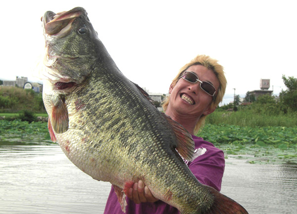 largemouth bass record. PIC: Japanese Man Catches 22 Pound 4 Ounce Largemouth Bass » Largemouth Bass